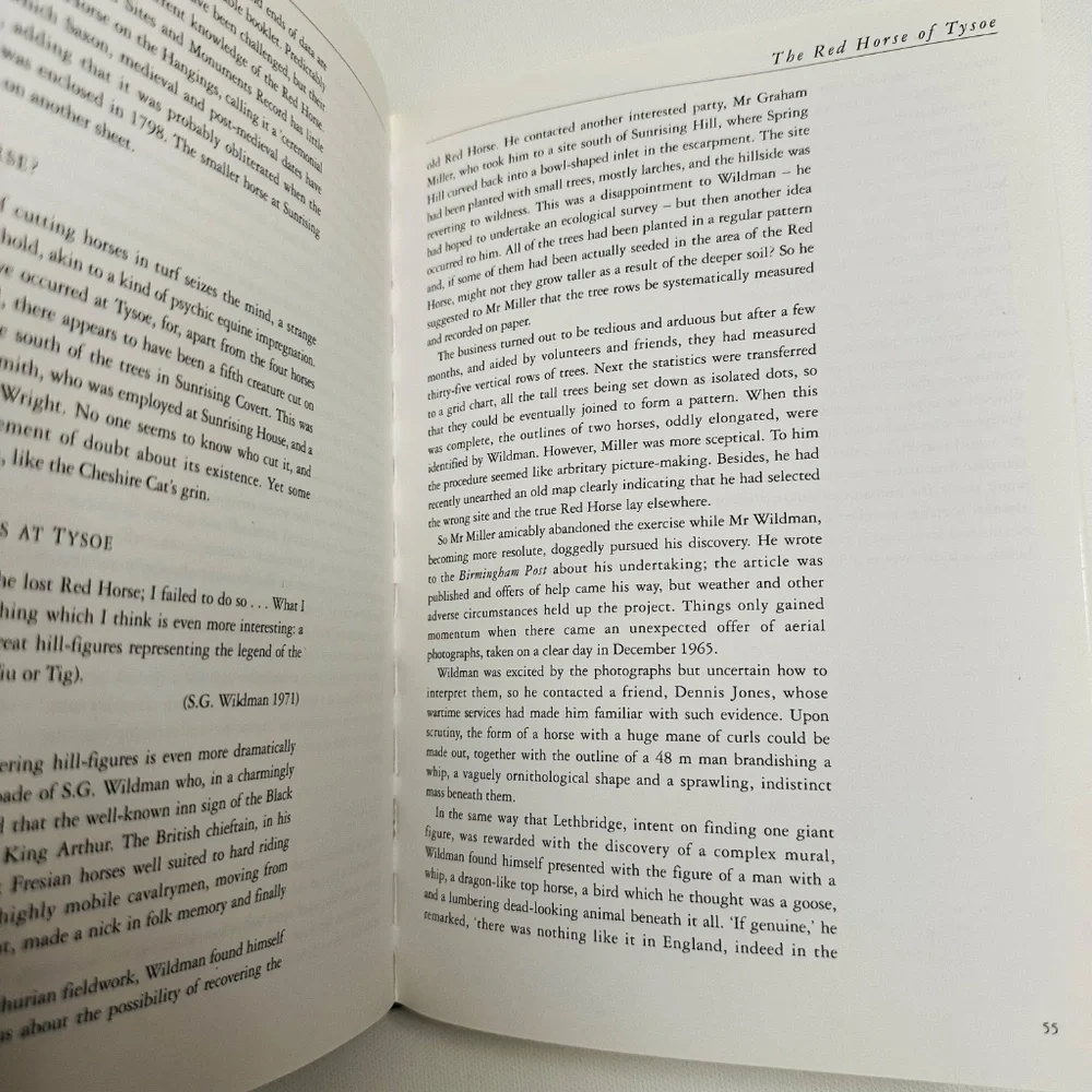 Lost Gods Of Albion The Chalk Hill Figures Of Britain Book By Paul Newman - Picture 3 of 5